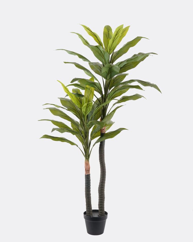 Artificial Tree Ironwood 2 in PP pot 45 lvs GS-30424054KD_1 Artificial Tree 65*65*150cm Ironwood *2 in PP pot/45 lvs GS-30424054KD 2024SEP YeahFlower is one of Chinese leading OEM manufacturers and exporters , supplying the silk flowers, wholesale artificial trees