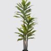 Artificial Tree 90*75*210cm Ironwood *3 in PP pot/76 lvs GS-30424052KD 2024SEP YeahFlower is one of Chinese leading OEM manufacturers and exporters , supplying the silk flowers, wholesale artificial trees