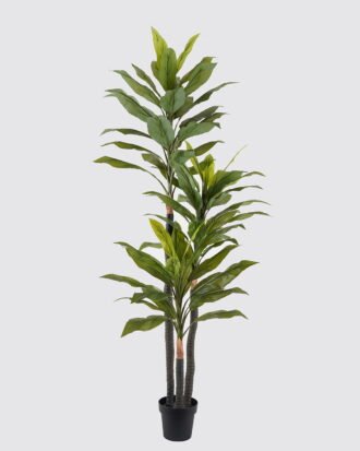 Artificial Tree 90*75*210cm Ironwood *3 in PP pot/76 lvs GS-30424052KD 2024SEP YeahFlower is one of Chinese leading OEM manufacturers and exporters , supplying the silk flowers, wholesale artificial trees