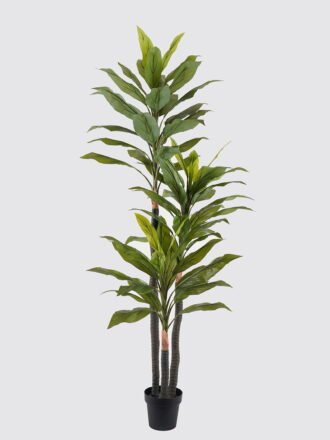 Artificial Tree 30*30*60cm  Eucalyptus tree in pp pot GS-30424051 Tree&Plant 3,000+ sqm showroom with thousands of artificial flowers, plants & trees ready for global sourcing.