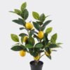 Artificial Tree 37*37*50cm  Lemon Tree  in PP pot/lvs 68 GS-30420007-A 2024SEP YeahFlower is one of Chinese leading OEM manufacturers and exporters , supplying the silk flowers, wholesale artificial trees