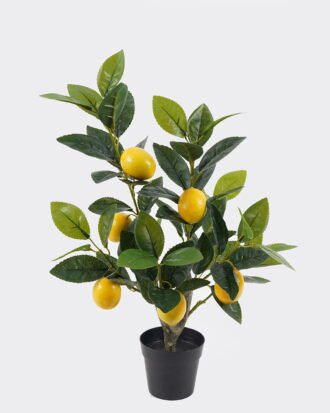 Artificial Tree 37*37*50cm  Lemon Tree  in PP pot/lvs 68 GS-30420007-A 2024SEP YeahFlower is one of Chinese leading OEM manufacturers and exporters , supplying the silk flowers, wholesale artificial trees