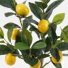 Artificial Tree 37*37*50cm  Lemon Tree  in PP pot/lvs 68 GS-30420007-A 2024SEP YeahFlower is one of Chinese leading OEM manufacturers and exporters , supplying the silk flowers, wholesale artificial trees