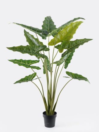 Artificial Tree 100*100*120cm Oak in PP pot/10 Lvs GS-67724017 Tree&Plant 3,000+ sqm showroom with thousands of artificial flowers, plants & trees ready for global sourcing.