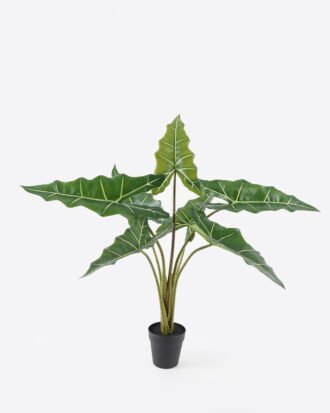 Artificial Tree 75*75*90cm Oak in PP pot/7 Lvs GS-67724016 2024Aug YeahFlower is one of Chinese leading OEM manufacturers and exporters , supplying the silk flowers, wholesale artificial trees