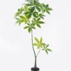 Artificial Tree Pachira macrocarpa in PP pot 116 Lvs GS-67724010KD_1 Artificial Tree 50*50*130cm Pachira macrocarpa in PP pot/116 Lvs GS-67724010KD 2024Aug YeahFlower is one of Chinese leading OEM manufacturers and exporters , supplying the silk flowers, wholesale artificial trees