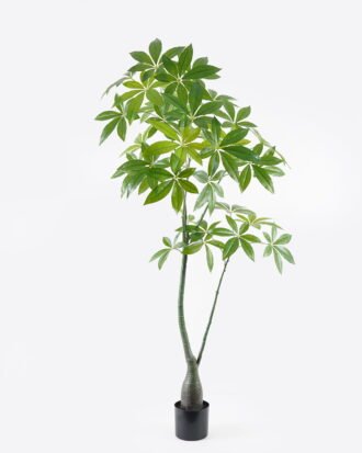 Artificial Tree 75*75*150cm Pachira macrocarpa in PP pot/223 Lvs GS-67724011KD 2024Aug YeahFlower is one of Chinese leading OEM manufacturers and exporters , supplying the silk flowers, wholesale artificial trees