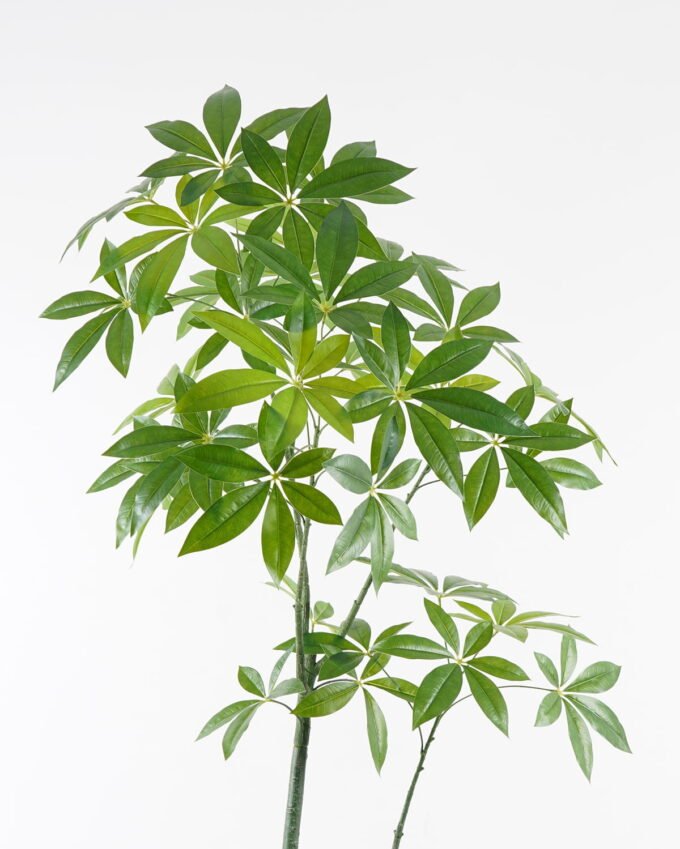 Artificial Tree 75*75*150cm Pachira macrocarpa in PP pot/223 Lvs GS-67724011KD 2024Aug YeahFlower is one of Chinese leading OEM manufacturers and exporters , supplying the silk flowers, wholesale artificial trees