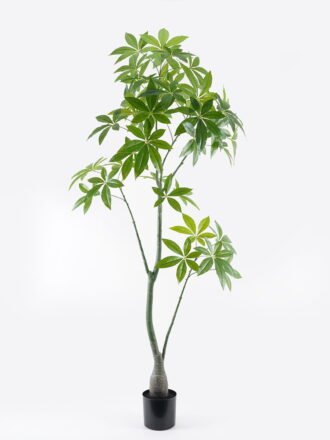 Artificial Tree 75*75*150cm Pachira macrocarpa in PP pot/223 Lvs GS-67724011KD Tree&Plant 3,000+ sqm showroom with thousands of artificial flowers, plants & trees ready for global sourcing.
