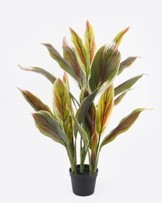 Artificial Tree 55*55*80cm Red cycas tree in PP pot/25 lvs GS-30423030-G1 2024Aug YeahFlower is one of Chinese leading OEM manufacturers and exporters , supplying the silk flowers, wholesale artificial trees