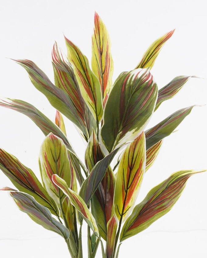 Artificial Tree 55*55*80cm Red cycas tree in PP pot/25 lvs GS-30423030-G1 2024Aug YeahFlower is one of Chinese leading OEM manufacturers and exporters , supplying the silk flowers, wholesale artificial trees