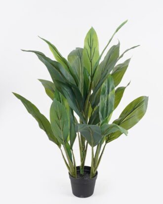 Artificial Tree 55*55*80cm Red cycas tree in PP pot/25 lvs GS-30423030-G2 2024SEP YeahFlower is one of Chinese leading OEM manufacturers and exporters , supplying the silk flowers, wholesale artificial trees