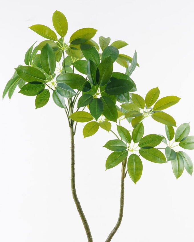 Artificial Tree  65*65*120cm Scheffera tree *2 in PP pot/103 Lvs GS-67724015KD 2024Aug YeahFlower is one of Chinese leading OEM manufacturers and exporters , supplying the silk flowers, wholesale artificial trees