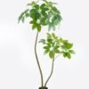 Artificial Tree 95*65*160cm Scheffera tree *2 in PP pot GS-67723012KD 2024Aug YeahFlower is one of Chinese leading OEM manufacturers and exporters , supplying the silk flowers, wholesale artificial trees