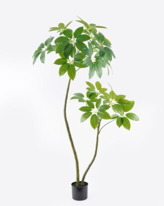 Artificial Tree 95*65*160cm Scheffera tree *2 in PP pot GS-67723012KD 2024Aug YeahFlower is one of Chinese leading OEM manufacturers and exporters , supplying the silk flowers, wholesale artificial trees