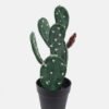 Artificial succulent 17*17*44cm Cactus *2 in pp pot GS-69224025 Succulent 3,000+ sqm showroom with thousands of artificial flowers, plants & trees ready for global sourcing.