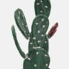 Artificial succulent 17*17*44cm Cactus *2 in pp pot GS-69224025 Succulent 3,000+ sqm showroom with thousands of artificial flowers, plants & trees ready for global sourcing.