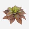 Artificial succulent 19*19*18cm Deserticolous plant single stem GS-51724025 2024SEP YeahFlower is one of Chinese leading OEM manufacturers and exporters , supplying the silk flowers, wholesale artificial trees