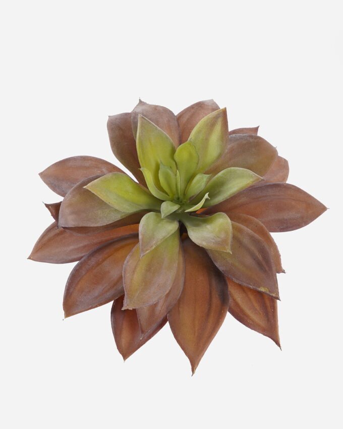 Artificial succulent 19*19*18cm Deserticolous plant single stem GS-51724025 2024SEP YeahFlower is one of Chinese leading OEM manufacturers and exporters , supplying the silk flowers, wholesale artificial trees