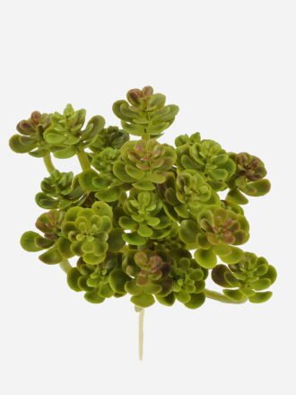 Artificial succulent 19*19*18cm Deserticolous plant single stem GS-51724025 Succulent 3,000+ sqm showroom with thousands of artificial flowers, plants & trees ready for global sourcing.
