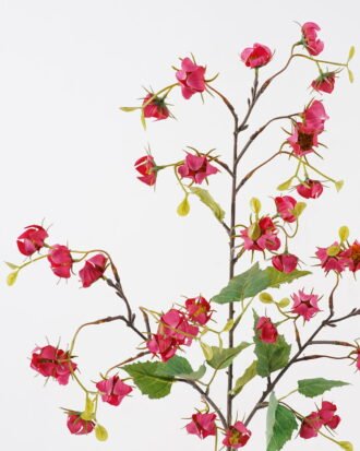 Artificial Flower 30*30*92cm Agapetes lacei single stem GS-62424004-R2 2024Oct YeahFlower is one of Chinese leading OEM manufacturers and exporters , supplying the silk flowers, wholesale artificial trees Artificial Flower 30*30*92cm Agapetes lacei single stem GS-62424004-R2 2024Oct YeahFlower is one of Chinese leading OEM manufacturers and exporters , supplying the silk flowers, wholesale artificial trees