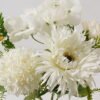 Artificial Flower 29*29*29cm Bolocephalus Callistephus *5 bush GS-57924004 Flowers Bush YeahFlower is one of Chinese leading OEM manufacturers and exporters , supplying the silk flowers, wholesale artificial trees