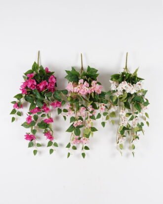 Artificial Flower 38*78cm Bougainvillea speetabilis *12 hanging GS-29824055 2024Oct YeahFlower is one of Chinese leading OEM manufacturers and exporters , supplying the silk flowers, wholesale artificial trees Artificial Flower 38*78cm Bougainvillea speetabilis *12 hanging GS-29824055 2024Oct YeahFlower is one of Chinese leading OEM manufacturers and exporters , supplying the silk flowers, wholesale artificial trees