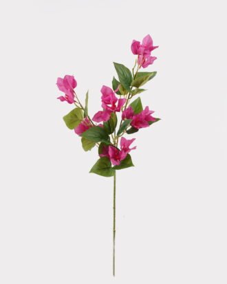 Artificial Flower 25*25*67cm Bougainvillea speetabilis *3 single stem GS-29824056-P1 2024Oct YeahFlower is one of Chinese leading OEM manufacturers and exporters , supplying the silk flowers, wholesale artificial trees Artificial Flower 25*25*67cm Bougainvillea speetabilis *3 single stem GS-29824056-P1 2024Oct YeahFlower is one of Chinese leading OEM manufacturers and exporters , supplying the silk flowers, wholesale artificial trees