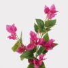 Artificial Flower Bougainvillea speetabilis 3 single stem GS-29824056-P1_6 Artificial Flower 25*25*67cm Bougainvillea speetabilis *3 single stem GS-29824056-P1 2024Oct YeahFlower is one of Chinese leading OEM manufacturers and exporters , supplying the silk flowers, wholesale artificial trees