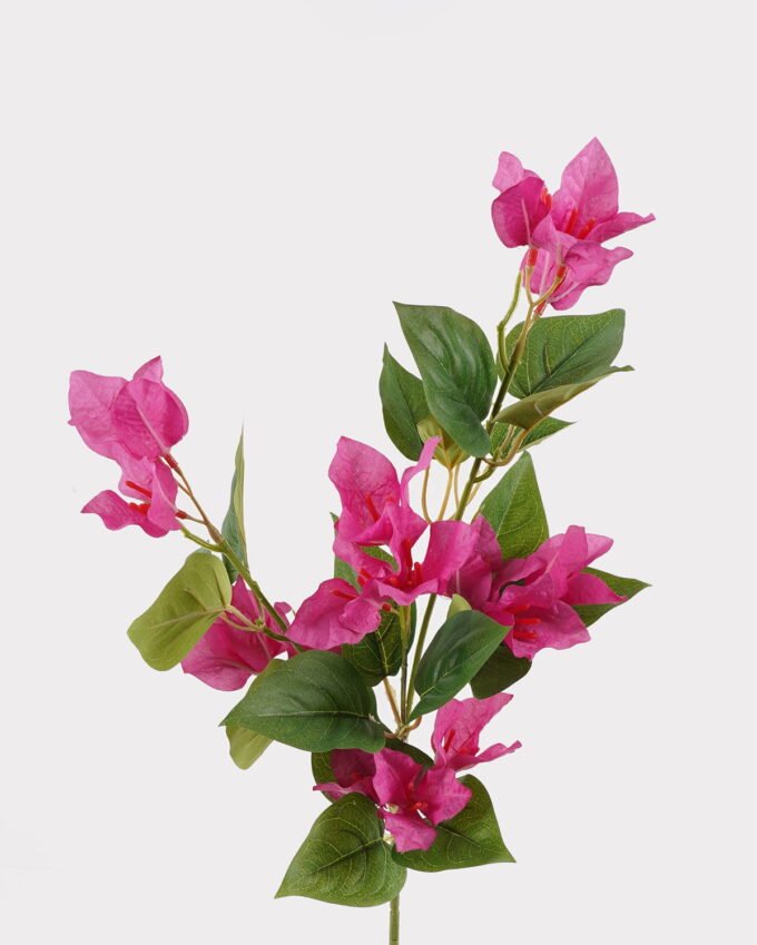 Artificial Flower Bougainvillea speetabilis 3 single stem GS-29824056-P1_6 Artificial Flower 25*25*67cm Bougainvillea speetabilis *3 single stem GS-29824056-P1 2024Oct YeahFlower is one of Chinese leading OEM manufacturers and exporters , supplying the silk flowers, wholesale artificial trees