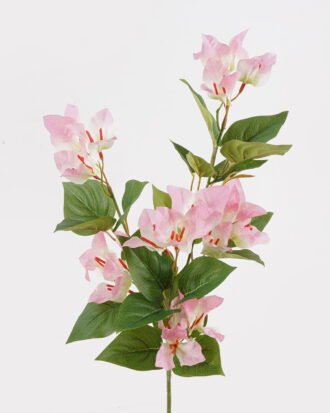 Artificial Flower 25*25*67cm Bougainvillea speetabilis *3 single stem GS-29824056 2024Oct YeahFlower is one of Chinese leading OEM manufacturers and exporters , supplying the silk flowers, wholesale artificial trees Artificial Flower 25*25*67cm Bougainvillea speetabilis *3 single stem GS-29824056 2024Oct YeahFlower is one of Chinese leading OEM manufacturers and exporters , supplying the silk flowers, wholesale artificial trees