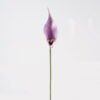 Artificial Flower 13*13*55cm Common callalily single stem GS-75324005-Z1 2024Nov YeahFlower is one of Chinese leading OEM manufacturers and exporters , supplying the silk flowers, wholesale artificial trees