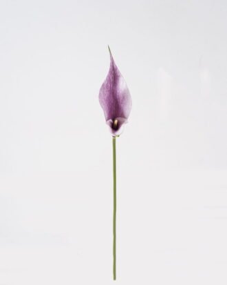 Artificial Flower 13*13*55cm Common callalily single stem GS-75324005-Z1 2024Nov YeahFlower is one of Chinese leading OEM manufacturers and exporters , supplying the silk flowers, wholesale artificial trees