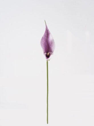 Artificial Flower 13*13*55cm Common callalily single stem GS-75324005 Single Flowers 3,000+ sqm showroom with thousands of artificial flowers, plants & trees ready for global sourcing.
