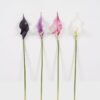 Artificial Flower 13*13*55cm Common callalily single stem GS-75324005 2024Nov YeahFlower is one of Chinese leading OEM manufacturers and exporters , supplying the silk flowers, wholesale artificial trees