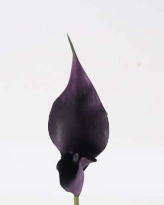 Artificial Flower 13*13*55cm Common callalily single stem GS-75324005 2024Nov YeahFlower is one of Chinese leading OEM manufacturers and exporters , supplying the silk flowers, wholesale artificial trees