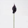 Artificial Flower 13*13*55cm Common callalily single stem GS-75324005 2024Nov YeahFlower is one of Chinese leading OEM manufacturers and exporters , supplying the silk flowers, wholesale artificial trees