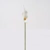 Artificial Flower 13*13*55cm Common callalily single stem GS-75324005 2024Nov YeahFlower is one of Chinese leading OEM manufacturers and exporters , supplying the silk flowers, wholesale artificial trees