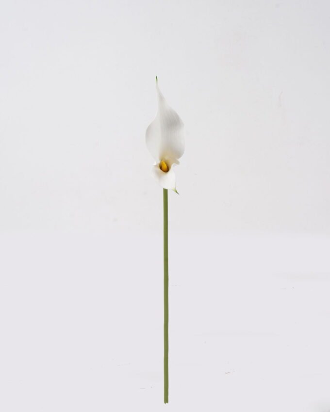 Artificial Flower 13*13*55cm Common callalily single stem GS-75324005 2024Nov YeahFlower is one of Chinese leading OEM manufacturers and exporters , supplying the silk flowers, wholesale artificial trees
