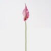 Artificial Flower 13*13*55cm Common callalily single stem GS-75324005 2024Nov YeahFlower is one of Chinese leading OEM manufacturers and exporters , supplying the silk flowers, wholesale artificial trees