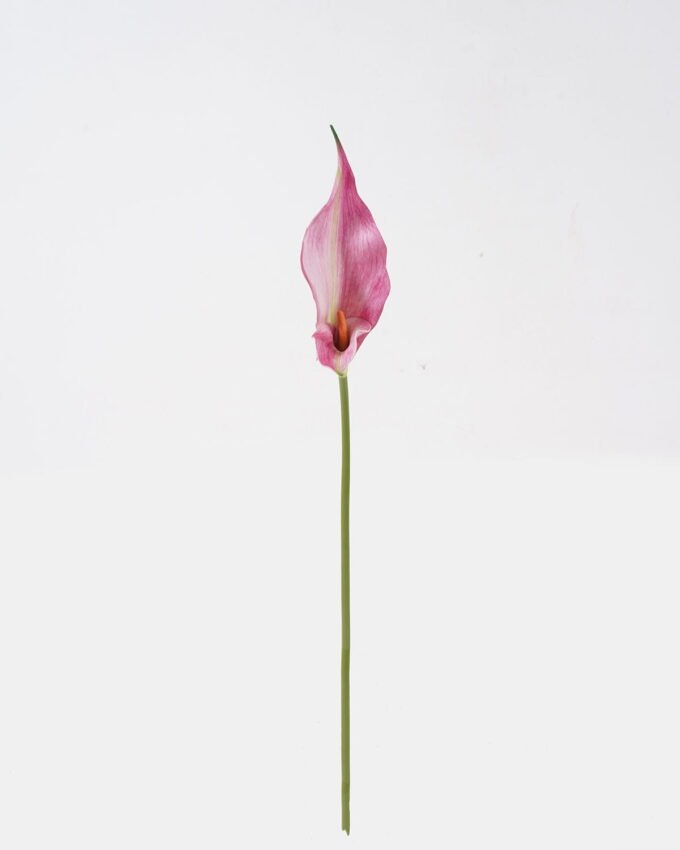 Artificial Flower 13*13*55cm Common callalily single stem GS-75324005 2024Nov YeahFlower is one of Chinese leading OEM manufacturers and exporters , supplying the silk flowers, wholesale artificial trees