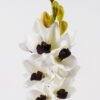 Artificial Flower 15*15*89cm Cymbidium faberi *11 single stem GS-75324001-W1 2024Nov YeahFlower is one of Chinese leading OEM manufacturers and exporters , supplying the silk flowers, wholesale artificial trees