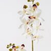 Artificial Flower 18*18*87cm Cymbidium faberi *2 single stem GS-75324002 2024Nov YeahFlower is one of Chinese leading OEM manufacturers and exporters , supplying the silk flowers, wholesale artificial trees