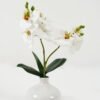 Artificial Flower 22*22*32cm Cymbidium in Ceramic pot GS-22222033-W1 2024Oct YeahFlower is one of Chinese leading OEM manufacturers and exporters , supplying the silk flowers, wholesale artificial trees