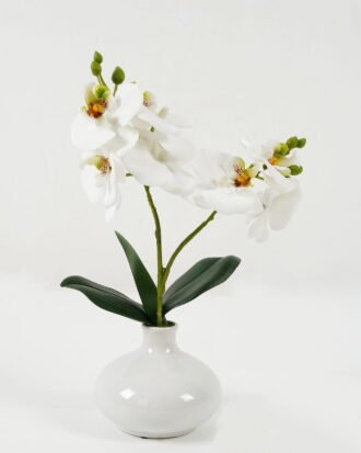 Artificial Flower 22*22*32cm Cymbidium in Ceramic pot GS-22222033-W1 2024Oct YeahFlower is one of Chinese leading OEM manufacturers and exporters , supplying the silk flowers, wholesale artificial trees Artificial Flower 22*22*32cm Cymbidium in Ceramic pot GS-22222033-W1 2024Oct YeahFlower is one of Chinese leading OEM manufacturers and exporters , supplying the silk flowers, wholesale artificial trees