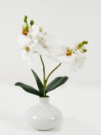 Artificial Table Plants 46*46*26cm Leaf  in PP pot GS-14524020 Potted Flowers&Plants 3,000+ sqm showroom with thousands of artificial flowers, plants & trees ready for global sourcing.