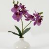 Artificial Flower 22*22*32cm Cymbidium in Ceramic pot GS-22222033-W1 2024Oct YeahFlower is one of Chinese leading OEM manufacturers and exporters , supplying the silk flowers, wholesale artificial trees