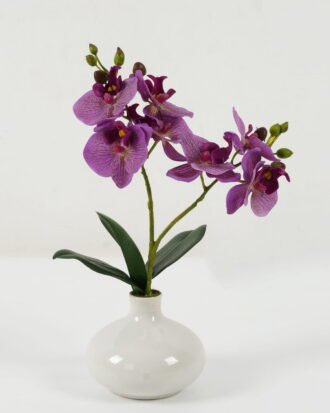 Artificial Flower 22*22*32cm Cymbidium in Ceramic pot GS-22222033-W1 2024Oct YeahFlower is one of Chinese leading OEM manufacturers and exporters , supplying the silk flowers, wholesale artificial trees Artificial Flower 22*22*32cm Cymbidium in Ceramic pot GS-22222033-W1 2024Oct YeahFlower is one of Chinese leading OEM manufacturers and exporters , supplying the silk flowers, wholesale artificial trees