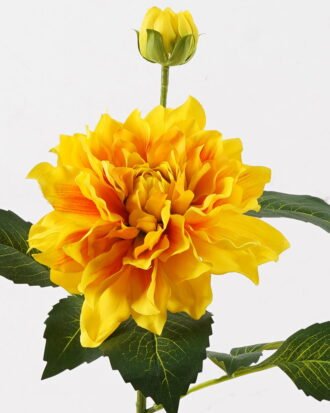 Artificial Flower 25*25*56cm Dahlia *2 single stem GS-128J24018-Y1 2024Oct YeahFlower is one of Chinese leading OEM manufacturers and exporters , supplying the silk flowers, wholesale artificial trees Artificial Flower 25*25*56cm Dahlia *2 single stem GS-128J24018-Y1 2024Oct YeahFlower is one of Chinese leading OEM manufacturers and exporters , supplying the silk flowers, wholesale artificial trees