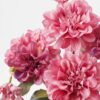 Artificial Flower 23*23*39cm Dahlia *7 bush GS-52824019 Flowers Bush YeahFlower is one of Chinese leading OEM manufacturers and exporters , supplying the silk flowers, wholesale artificial trees